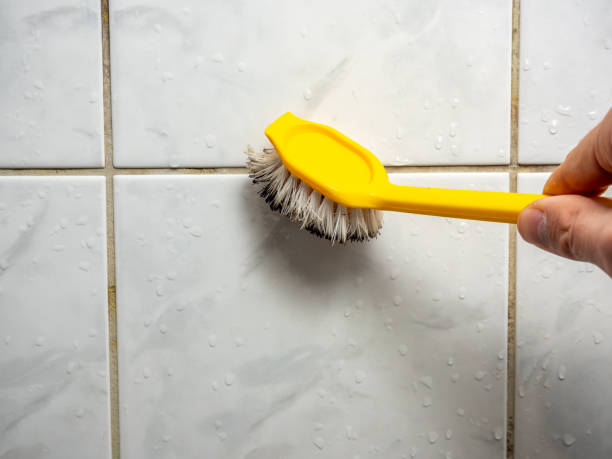 Best Office Mold Removal Services  in Eclectic, AL
