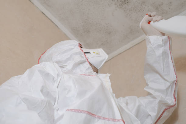 Best Commercial Mold Removal  in Eclectic, AL