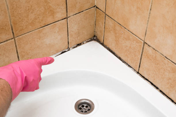 Best Mold Inspection  in Eclectic, AL
